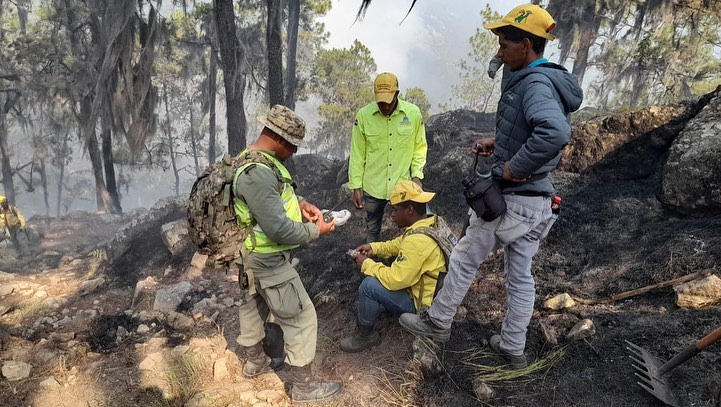 Técnicos forestales y equipo de bomberos sofocan incendio forestal